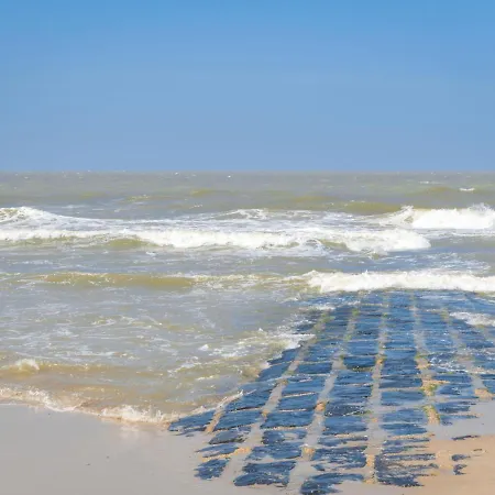 Stormvogel * Bredene